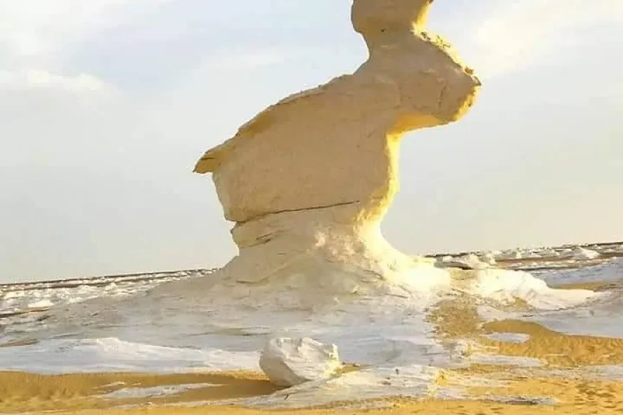 5 days 4 nights, Siwa, bahariya oasis and white desert