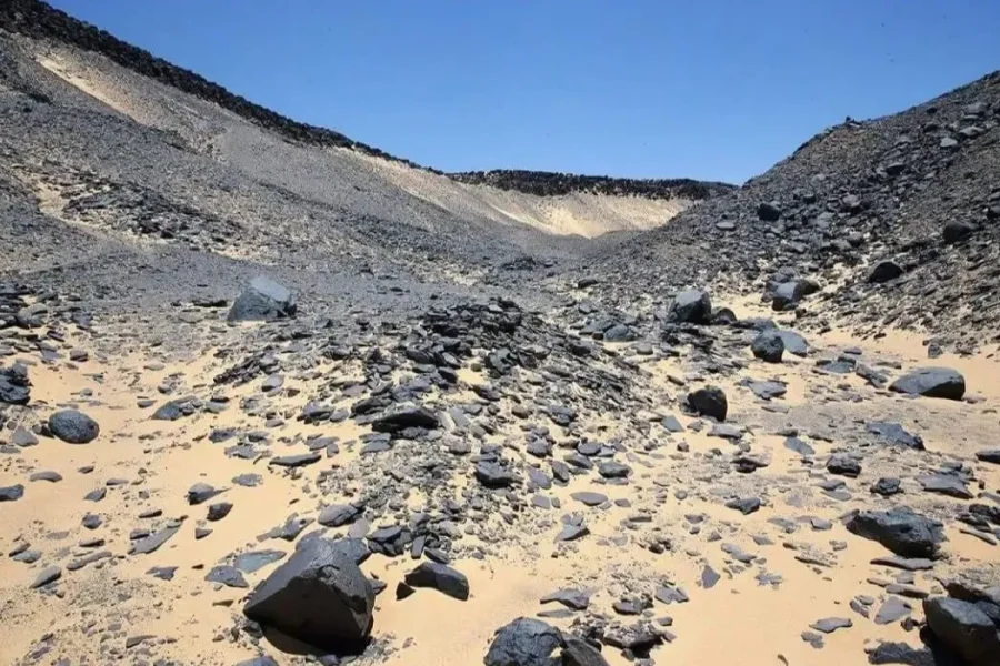 Bahariya Oasis and White Desert
