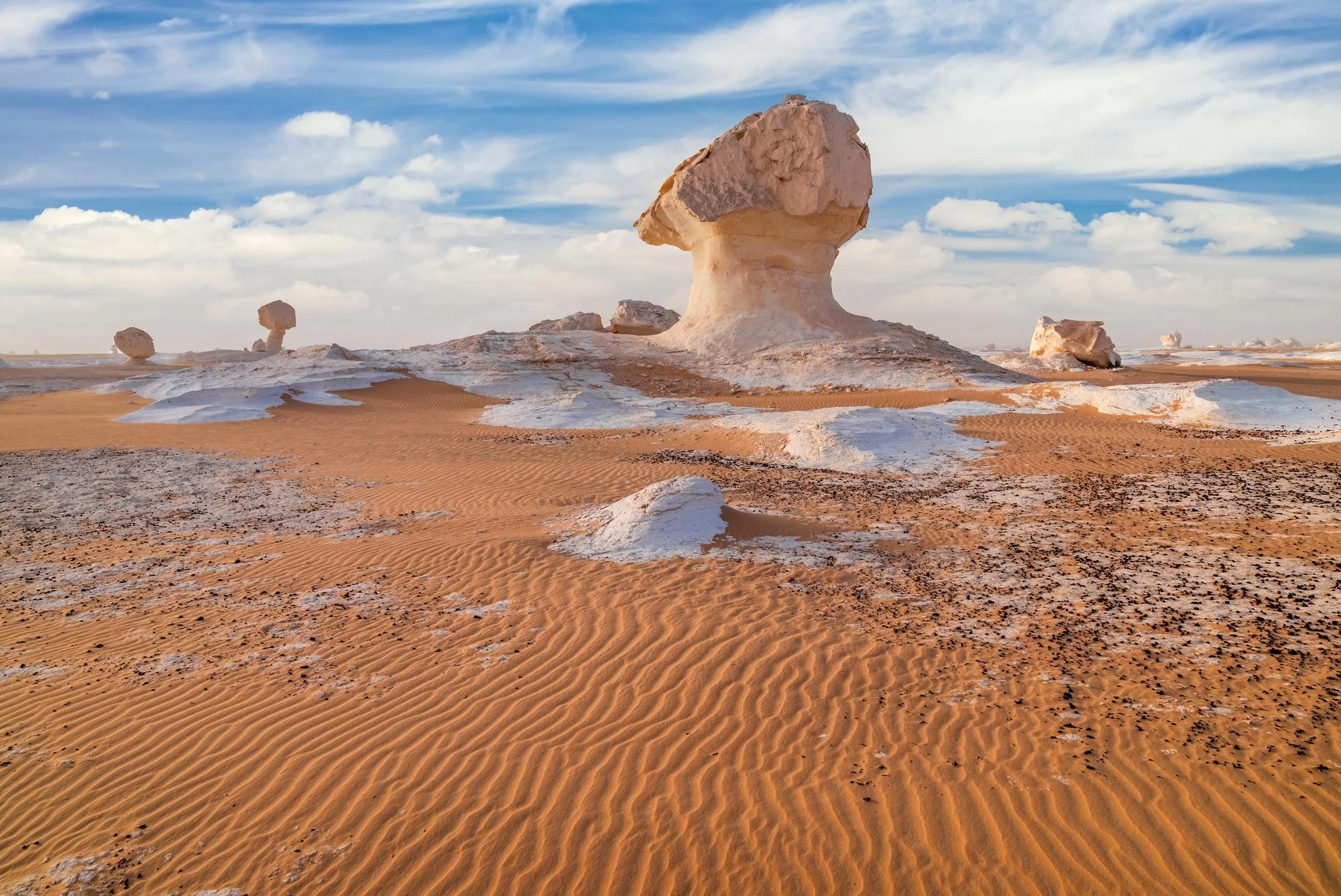 Bahariya Oasis